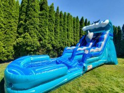 20210623 145912 1706067717 15ft Dolphin water slide