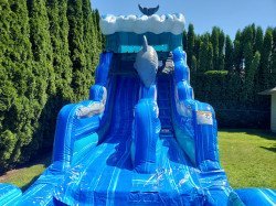 20210623 145919 1706067718 15ft Dolphin water slide