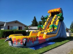 20210618 173824 1706765276 20ft T-rex water slide