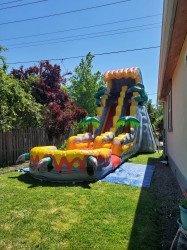 20210620 112107 1706765276 20ft T-rex water slide