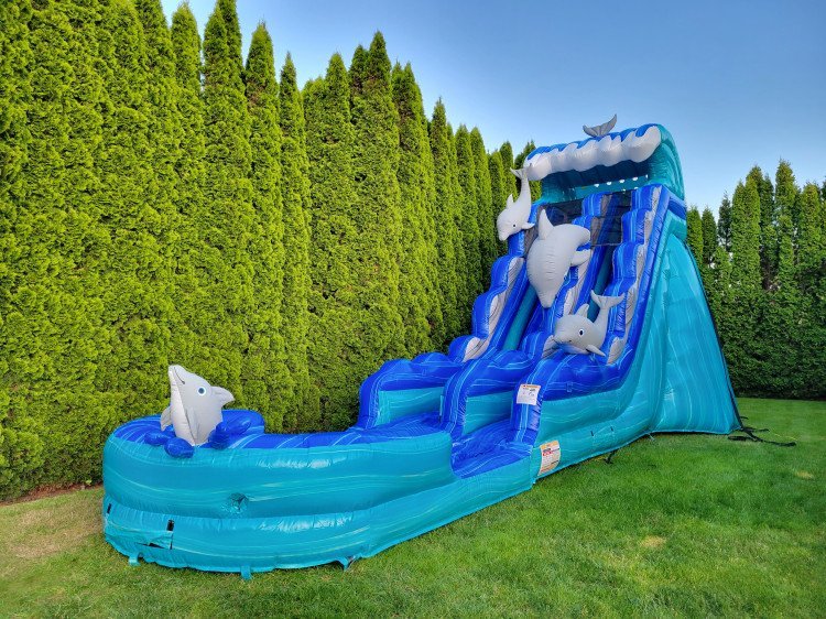 20FT Dolphins wave water slide