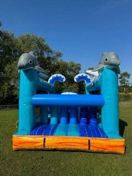 IMG 20240515 WA0011 1716613321 New 50ft Tropical Vibes Obstacle Course